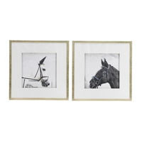 Set of 2 Horse Framed Prints