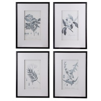 Set of 4 Flora & Fauna Framed Prints Behind Glass