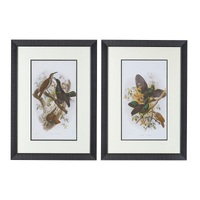 Birds Wall Art set of 2