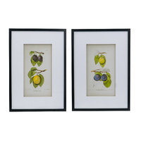 Botanical Wall Décor set of 2