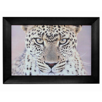 Leopard Portrait Wall Art 110x80cmh African-themed artwork. Solid Frame.
