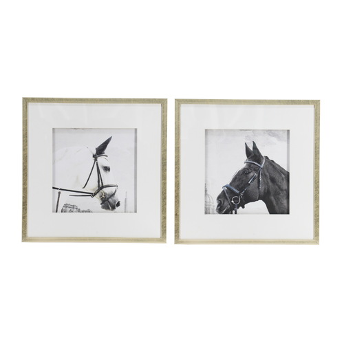 Set of 2 Horse Framed Prints. "The Horses" Prints.