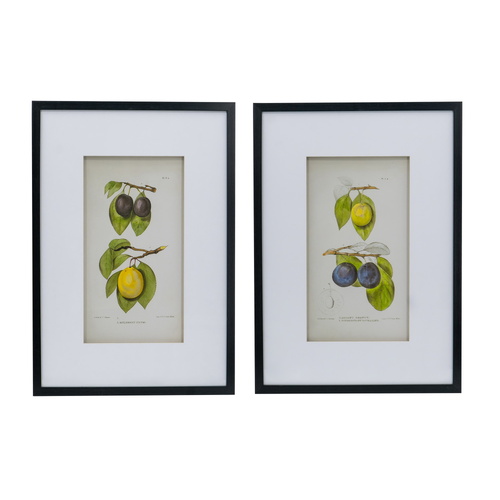 Botanical Wall Décor set of 2